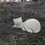 Kočka ležící - umělý kámen - pískovec