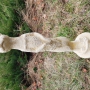 Surikata velká - umělý kámen - pískovec