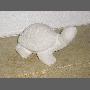 Želvička - umělý kámen - pískovec